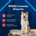 Blue Buffalo Wilderness Trail Treats High Protein Grain Free Dog Biscuits Crunchy Dog Treats, Salmon Recipe, 10-oz Bag