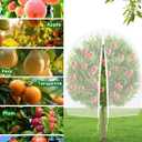 VITI Large Fruit Trees Netting Zipper - 2Pcs 10X10 FT with Drawstring Bird-Proof,Durable Mesh Covers for Blueberry,Apple,Pear,Peach,Orange Trees&Tomato Plants Bug Insect Protection Cover (2, 10X10 FT)
