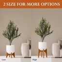 KUTE NEST 17" H x 19.3" W Acacia Solid Wood Plant Stand - Walnut | High - Medium, Outdoor & Indoor Use, Mid Century Plant Holder, Ideal for Corso & Arco Planter, Walnut Finish for Modern Home