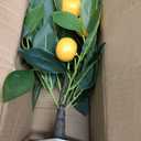 Artificial Potted Plants 16.1 inches Fake Orange Tree Artificial Citrus Fruit Plant with White Pot Faux Plants Indoor for Home,Office, Living Room Table, Desk