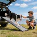 Large Dog Ramp for Car, SUV & Truck 64" – Joint & Spine Relief, Anti-Slip Surface, Heavy-Duty, Stable, Up to 100 lbs