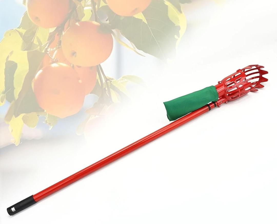 Fruit Picker Pole with Basket, Fruit Grabber for Apples, Apricot, Pear, Orange, Multiple, Mango, Lightweight & Telescoping (3.2m(10.5ft), Red)