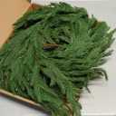 CLEANGOR 2Pcs 6FT Norfolk Pine Garlands Realistic, Real Touch Winter Xmas Garland, Christmas Decorations Indoor Outdoor, Artificial Holiday Decor Faux Greenery for Mantle, Fireplace, Table