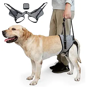 CNEO Dog Lift Harness, Dog Sling for Medium Large Dogs, Adjustable Dog Support Harness for Back Legs, Comfy Design Pet Harness with Padded for Elderly, Injured, Arthritic, Senior, Disabled Dogs
