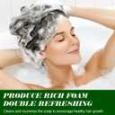 2 x Rosemary Shampoo for Hair Growth with Biotin for Thinning Hair for Women & Men, Rosemary Hair Growth Shampoo with Mint & Tea Tree Oil, Strengthening & Regrowth Formula for Hair Loss 16.9 oz