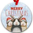 3 x Guinea Pig Christmas Ornament 2025  Guinea Pig Celebrate Christmas Decor, Cute Animals Ornament - Hamster Holiday Tree Decoration, Xmas Gift for Animal Lovers & Pet Owners
