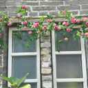 6FT Bendable Pink Rose Flower Garland, Artificial Silk Wild Roses Vine Leaves Hanging Flowers for Wall Fireplace Fence Trellis Wedding Baby Shower Room Home Spring Summer Decor(1PC)