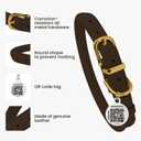 BronzeDog Rolled Leather Dog Collar with QR ID Tag, Adjustable Soft Round Collars for  Dogs Puppy (11" - 14 1/2" Neck Size, Brown)