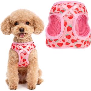 PUPTECK Dog Harness for Puppy and Small Sized Dogs, Step-in No Pull Soft Mesh Vest Harness for Cats Small Pets Walking, Pink Strawberry, New XS