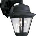Progress Lighting P5862-31 1-Light Cast Wall Lantern with Clear Seeded Glass, Textured Black