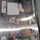 Westie Calendar 2026 West Highland Terrier Gifts Westies Monthly Wall Calender 12 Month | American Made In The USA
