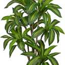6FT Tall Artificial Dracaena Tree, Lifelike Faux Indoor Fake Floor Plant with White Pot, Faux Tree for Home Office Living Room Entryway Dcor