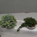 Winlyn  2 Pcs Small Potted Succulents Plants Artificial String of Pearls Aloe Hops Succulents in Black Geometric Concrete Pots for Gifts Modern Home Bathroom Window Table Indoor Outdoor Greenery Décor