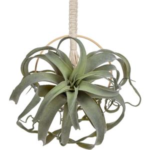 Artificial Air Plants 11 Inch Fake Hanging Plant Real Touch Lifelike Fake Succulents Plants for Home Garden Office Indoor Outdoor Decor (Green)