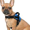 rabbitgoo Dog Harness Medium Sized, Easy On Pet Vest with One Buckle, No Pull Adjustable Service Harness with D-Ring & Handle, Reflective for Safety Walking, Training, Blue, M