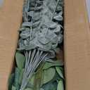 Giegxin 90 Pcs 3 Kinds Mixed Eucalyptus Leaves Stems Bulk Artificial Silver Dollar Leaves Picks Dried Eucalyptus Bundle Faux Spray for Wedding Vase Bouquet Floral Arrangement (Green)