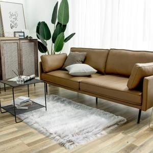 Ashler faux fur rug, Fluffy Shaggy Area Rug Ultra Soft 3 x 5 Feet Rectangle Fur Rug Frosted Bottom Beige Fuzzy Rug Machine Washable Shag Rug, Nursery Decor Throw Rugs for Bedroom, Living Room