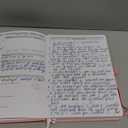 The Phoenix Journal  Quarterly Goal Planner & Daily Journal for Focus, Productivity & Clarity  12 Week Undated Roadmap with Vision & Goal Setting  Daily, Weekly & Monthly Planning  Hardcover (Pink)