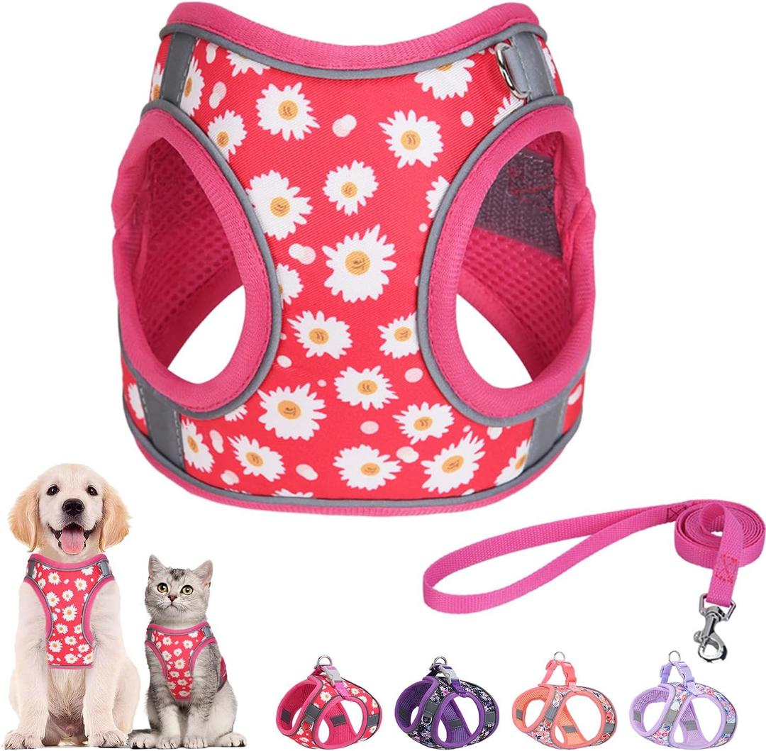 Step in Dog Harness and Leash Set, Flower Adjustable Easy Walk Puppy Harnesses, Soft Mesh Pet Vest Harness Small Size Dog Adjustable No Pull Dog Harness for Dogs(Rose red, S)