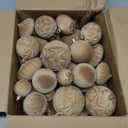 Lavwix 46 Pcs Christmas Flocked Ornaments for Tree Decorations - Velvet Ball Shatterproof Assorted Hangings for Xmas Winter Home Indoor Outdoor Decor Bulk (Khaki)