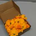 M&C Music Color Marigold Flowers Heads Bulk, 50Pcs Silk Marigold Flowers Artificial for Decoration DIY Wreath Garland Craft Wedding Party Baby Shower Decoration Halloween Christmas (Orange)