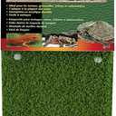 Penn-PLAX Reptology Turtle Basking Platform Ramp Also Great for Frogs, Newts, Salamanders, and Axolotls 17.5 x 6