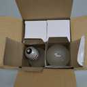 A19 Incandescent Light Bulbs 60 Watt, Dimmable, 2700K Soft White, 4 Pack