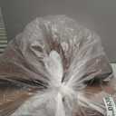 Armless Accent Chair Covers,Stretch Chair Slipcover, Chair Slipcovers，Blue,Velvet,Gray,Orange,Yellow,Teal,Floral ，for Living Room Protector Polyester Spandex Backrest Chair Cover Stools Covers