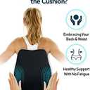 Travel Ease Ergonomic Lumbar Support Cushion, Memory Foam Back Support Cushion for Office Chairs with Skin-Friendly Cover for Comfort (Black)