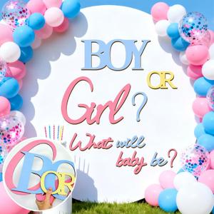 Large Wooden Boy or Girl Signs Gender Reveal Party Decoration Ideas Decals for Balloon Arch Oh Baby Shower Letters Sign He or She What Will Baby Be Stickers for Backdrop Pregnancy Banner Photo Props
