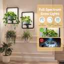 LASZOLA Plant Hangers Holder Wall Mount Indoor Window with 2 Grow Light, 2 Pack Floating Flower Stand Shelf with Hooks, Metal Picture Frame Hanging Planter Display Decor for Kitchen Bathroom, Black