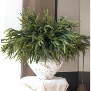 N&T NIETING 24inch Christmas Norfolk Pine Branches Norfolk Pine Artificial Christmas Branches Real Touch Faux Christmas Norfolk Pine Stems for Xmas Indoor Outdoor Home Decor DIY Crafts (10Pcs)