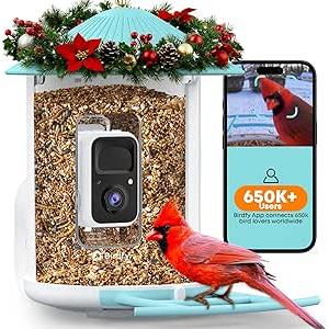 NETVUE by Birdfy Smart Bird Feeder with 2K AI Camera, Auto Capture Videos & Motion Detection, Live Steam, Wireless Wildbird Watching, Ideal Gift for Outdoor Backyard Birder(AI by Subscription)
