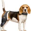 CHAMIN Adjustable Dog Knee Brace with Extra Collar, Support for Torn Acl Hind Leg, Tear Ligament, Osteoarthritis,Rear Leg Limp, Recovery After Surgery,et(Right Leg,S)