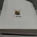 BUCLA 150PCS Green Plastic Plates - Green and Gold Disposable Include 25 Each (Dinner & Dessert) Plates, 25 Knives, 25 Forks, 25 Spoons and 25 Cups, Ideal for Party&Christmas