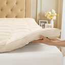 Luxury 100% Organic Wool Mattress Topper, Plush Pillow Top Mattress Pad with 100% Organic Cotton Cover(60"x81")