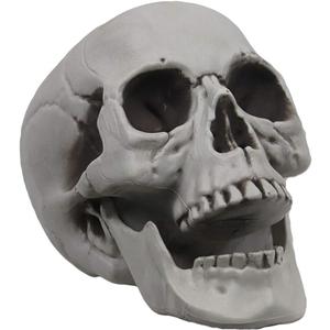 MOKRY PARTY Life Size Skeleton Skull for Halloween Decor Graveyard Outdoor White