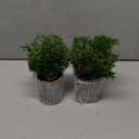 2 Pack Small Fake Plants Rosemary Potted Artificial Plants for Shelf Desk Home Bathroom Farmhouse Room Coffee Table Decor (Green)