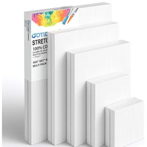GOTIDEAL Stretched Canvas Multi Pack 4x4 5x7 8x10 9x12 11x14 Set of 10 Primed White - 100% Cotton Artist Canvas Boards for Painting Acrylic Pouring Oil Paint Dry & Wet Art Media White Multi Size-10 Pcs