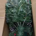 Prelit Small Christmas Tree 20" with 50 Warm LED Timer Lights, Battery Operated Xmas Tree with Red Berries & Pinecones, Frosted Urn Filler, Outdoor for Porch and Pathway,2 Pack (Snow Berry Tree)