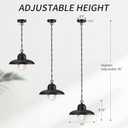 Outdoor Pendant Lights for Porch 12", Outdoor Farmhouse Hanging Light Fixture with Adjustable Chain and Bubble Glass, Black Rustic Exterior Pendant Light for Front Door, Gazebo, Entryway, Patio