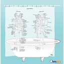Human Skeleton Shower Curtain - EVA Vinyl, 71" x 71"