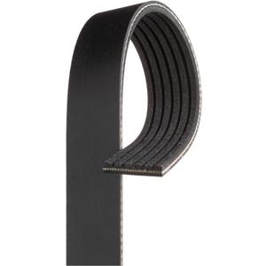 ACDelco Gold 6K664A Standard V-Ribbed Serpentine Belt