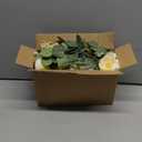 Der Rose 2Pcs Artificial Eucalyptus Flower Garland with Fake Rose Flower Vine Seeded Eucalyptus Leaves Greenery Garland for Wedding Table Backdrop Party Centerpiece Room Decor (Champagne-Total 13FT)