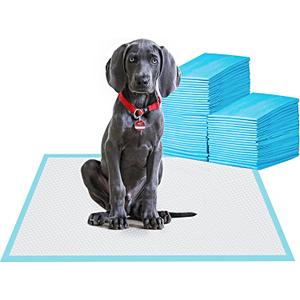 BESTLE Large Pet Training and Puppy Pads Pee Pad for Dogs 24"x24"-80 Count Super Absorbent & Leak-Proof