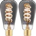 12V Edison Bulb Low Voltage Warm White 2700K E26 Base, DC/AC 12V 24V 36V LED Light Bulbs 40W Equivalent Smoky Grey Glass for RV Camper, 2 Pack