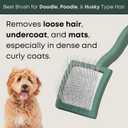 Freshly Bailey Doodle Brush for Goldendoodle, Poodle, and Labradoodle Coats - Best Slicker for Dogs With Wavy & Curly Hair - Detangle & Fluff Like a Pro - Grooming Must Haves (Small)