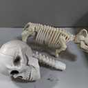 5.4Ft Posable Halloween Skeleton with Dog Cat Skeleton for Halloween Decor