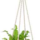 Dahey Hanging Plant Shelf Round Wood Rope Hanging Floating Shelf Boho Home Decor Display Planter Rack for Living Room Bedroom Kitchen Room,Nature