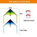 2 Pack Kites for Kids and Adults, Easy to Fly Delta Kite for Beach, Single Line Kite Set for Beginners, 63" x 30" Delta Kites for Teens with 2 * 300FT String Handles (Green&Blue)